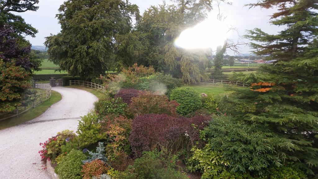 Ty Derw Country House B&B ルシン 部屋 写真